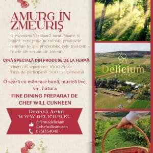 Bilet participare Amurg în zmeuriș