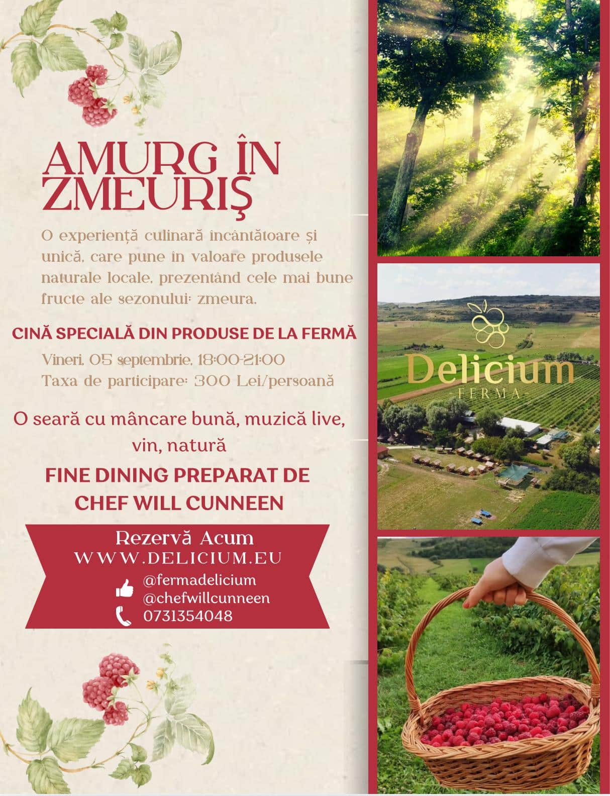 Bilet participare Amurg în zmeuriș